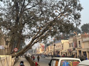 Capturing memorable photographs of vibrant streets in Ayodhya.